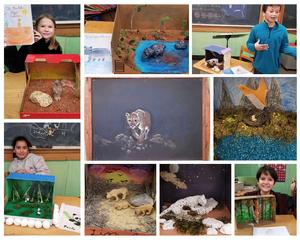 The Study of Animals in 4th Grade